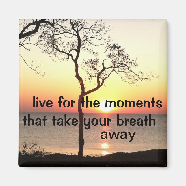 Inspirational Life Moments Magnet (Front)