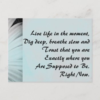 Inspirational Live Life In The Moment Postcard by QuoteLife at Zazzle