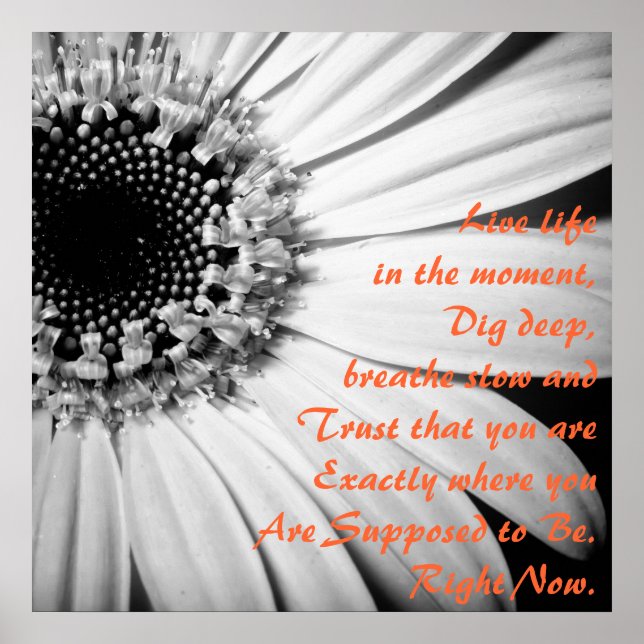 Inspirational Live Life in the Moment Poster (Front)