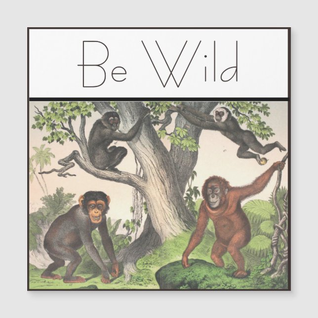 Inspirational Monkey Chimpanzee Vintage (Front)