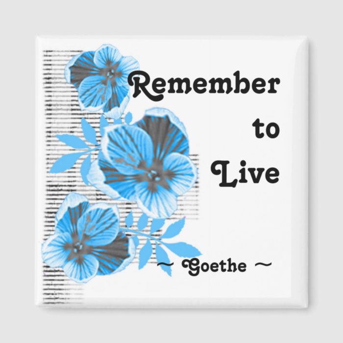 Inspirational Motivational Magnet ~ Goethe Quote