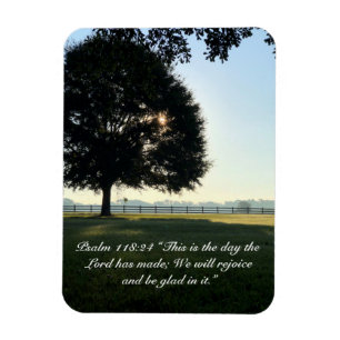 Inspirational "New Day" Landscape Magnet