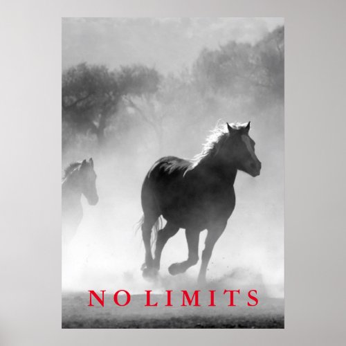 Inspirational No Limits Black White Horses Artwork Poster