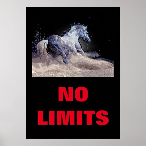 Inspirational No Limits Horse Motivational Poster