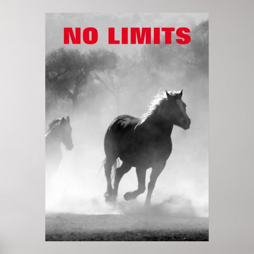 Inspirational No Limits Horses Motivational Poster