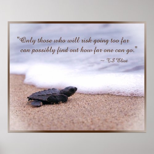Inspirational Quote Baby Sea Turtle Sand Ocean Poster