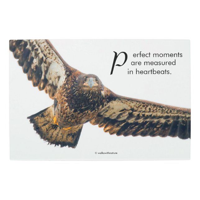 Inspirational Quote Bald Eagle in Flight Metal Print (Front)