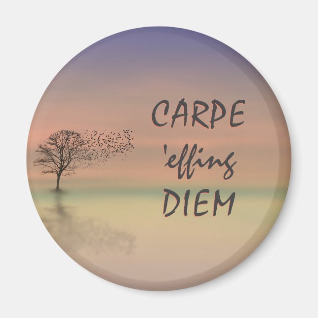 Inspirational Quote CARPE DIEM Template Magnet (Front)