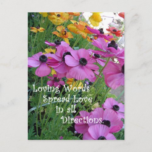 Inspirational Quote Colorful Floral Flower Garden Postcard