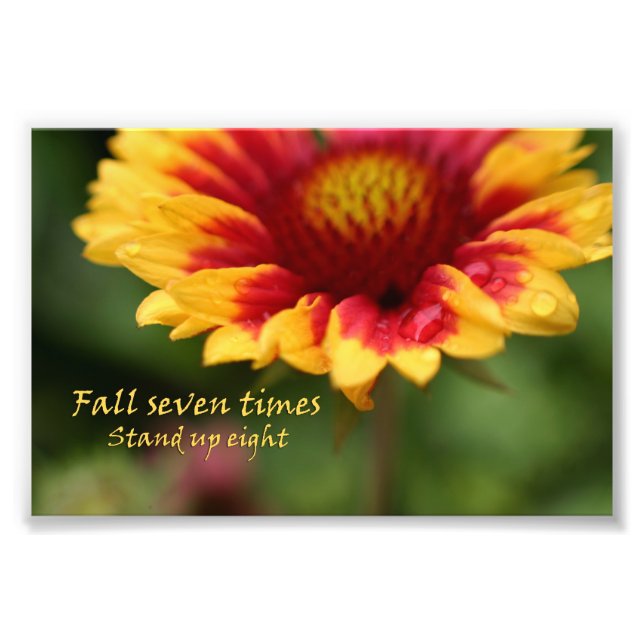 Inspirational quote colorful flower photograph (Front)