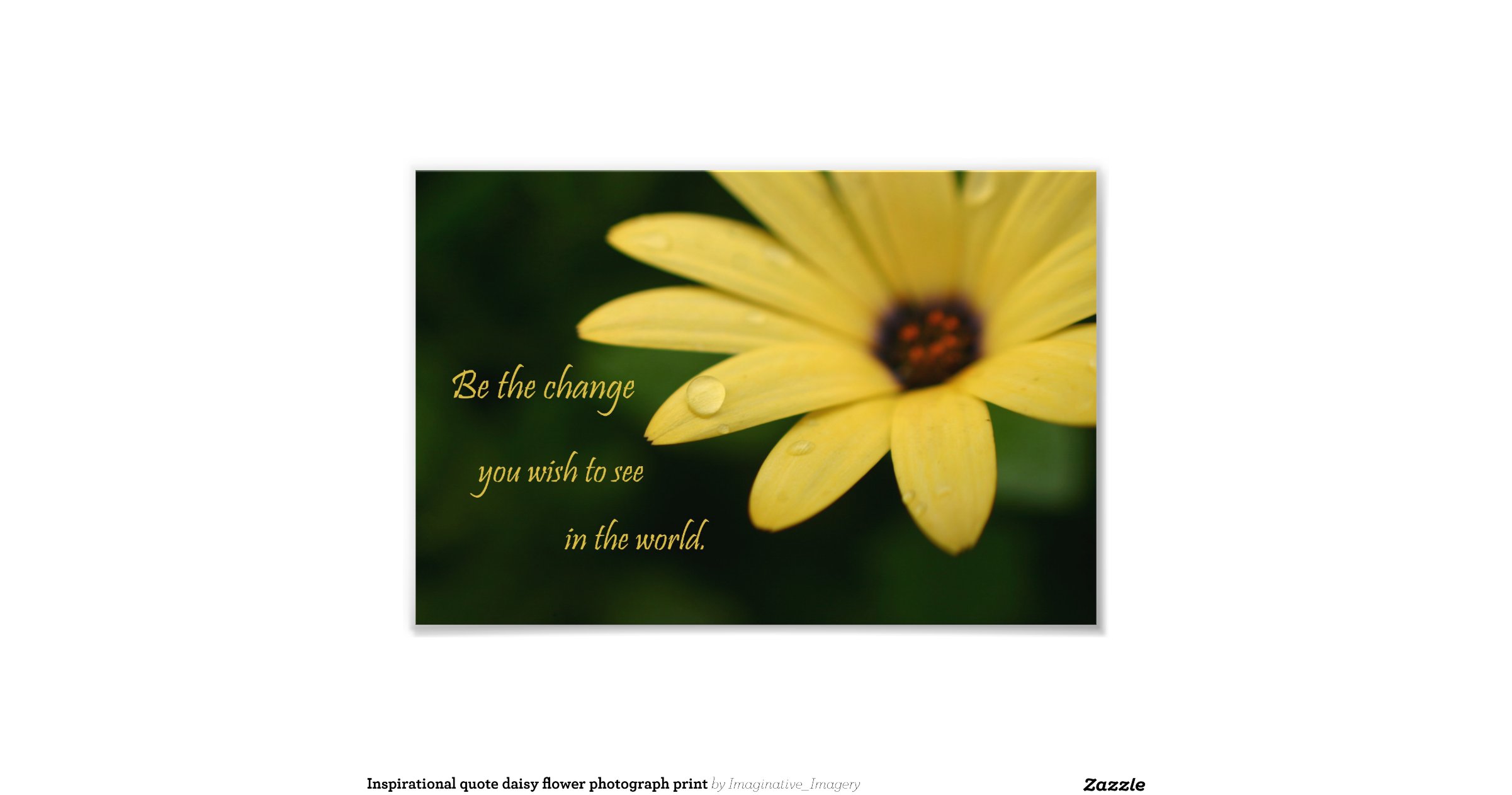 inspirational_quote_daisy_flower_photograph_print ...