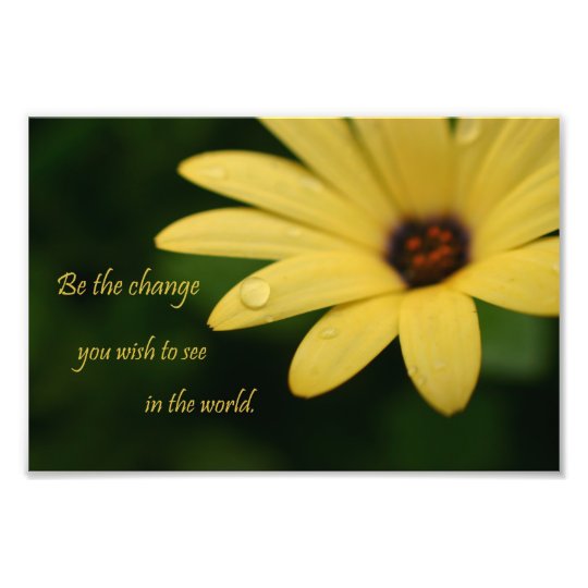 Inspirational quote  daisy  flower photograph print Zazzle com