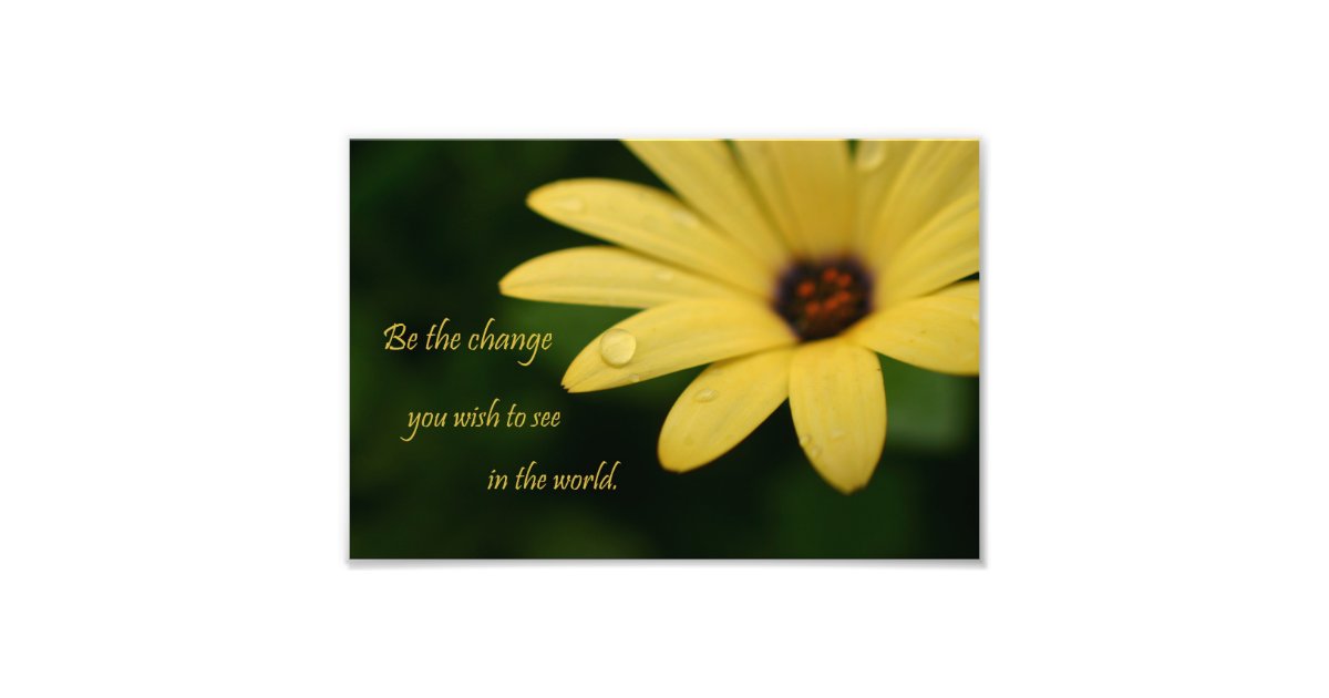 Inspirational quote  daisy  flower photograph print Zazzle com