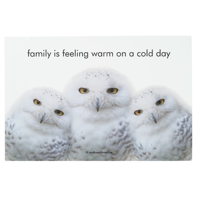 Inspirational Quote Dreamy Wisdom of Snowy Owls Metal Print (Front)