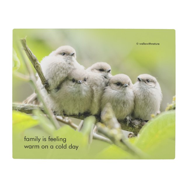 Inspirational Quote Family of Five Songbirds Metal Print (Front)