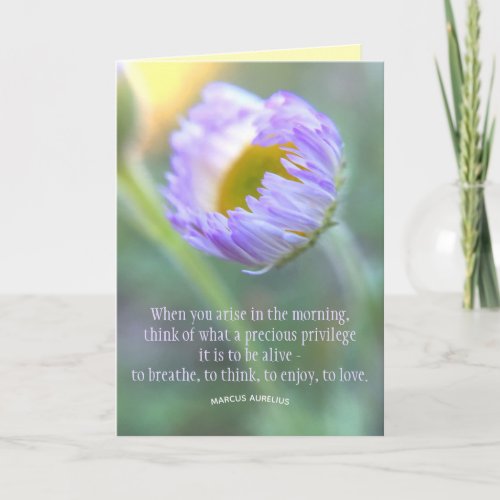 Inspirational Quote Floral Macro Photo Template