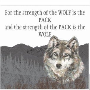 Inspirational Quote Grey Wolf Mountain Animal Sticker