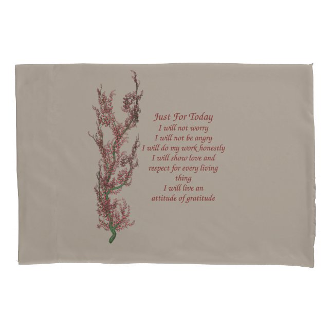 Inspirational Quote Just For Today   Pillow Case (Front)