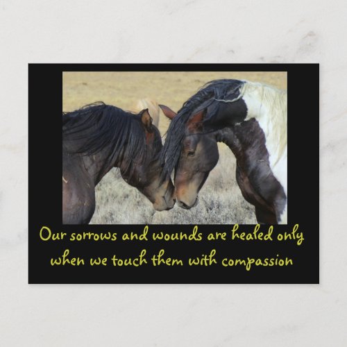 Inspirational Quote Two Wild Horses Nuzzling Postcard