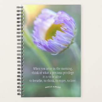 Inspirational Quote Typography Floral Macro Photo