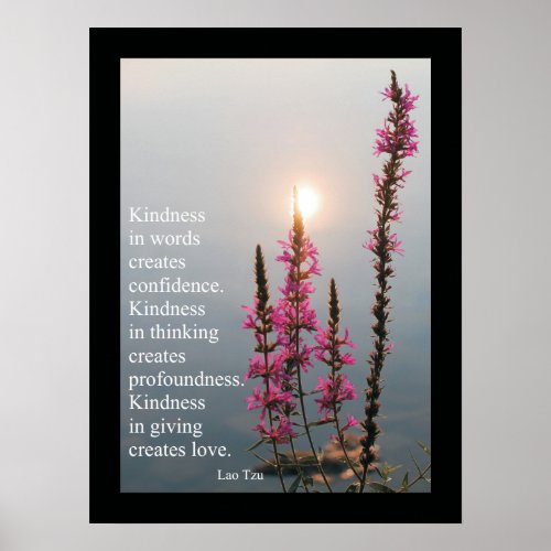 Inspirational Quotes and Sayings Lao Tzu Poster