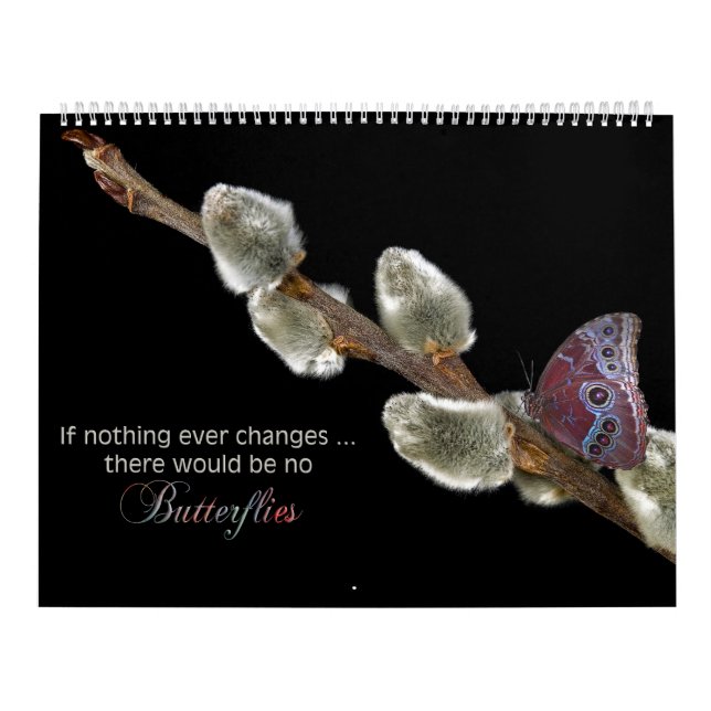 Inspirational Quotes on Photographs  Calendar (Cover)