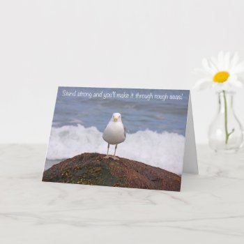 Inspirational Seagull Get Well Card by Therupieshop at Zazzle
