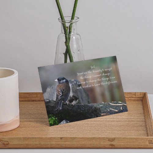 Inspirational Serenity Prayer Bird on Branch Blank Card