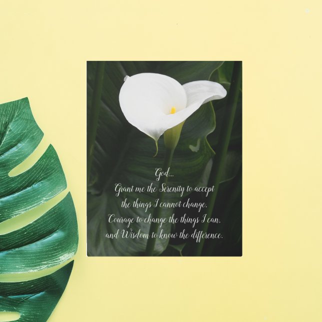Inspirational Serenity Prayer Calla Lily Floral Metal Print (In Situ)