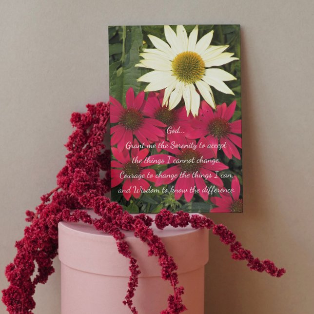 Inspirational Serenity Prayer Coneflowers Blank Card (Creator Uploaded)