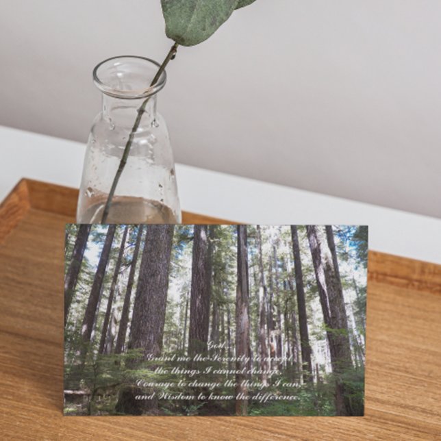 Inspirational Serenity Prayer Sunlit Forest Blank Card (Creator Uploaded)