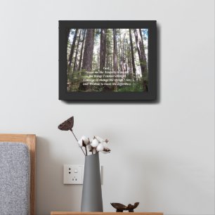 Inspirational Serenity Prayer Sunlit Forest Framed Art