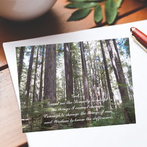 Inspirational Serenity Prayer Sunlit Forest Postcard
