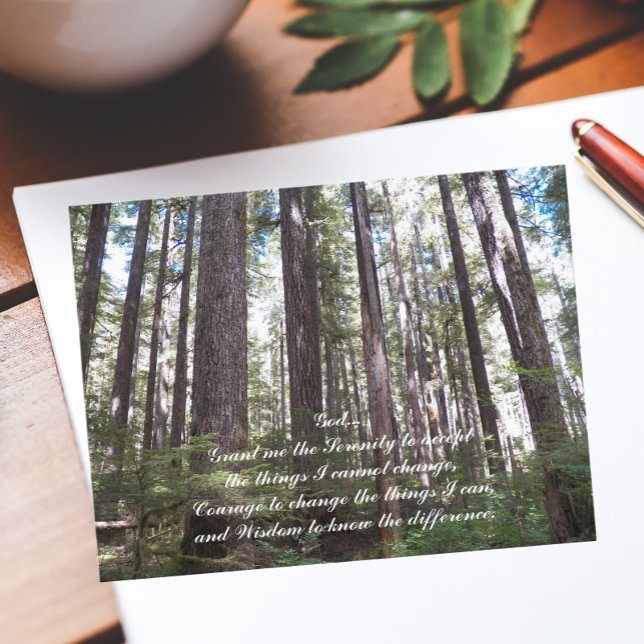 Inspirational Serenity Prayer Sunlit Forest Postcard (Creator Uploaded)