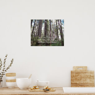 Inspirational Serenity Prayer Sunlit Forest Poster