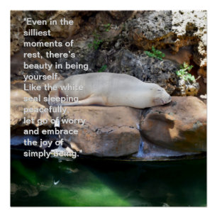 Inspirational: Sleeping White Sea Lion On Rocks, Poster