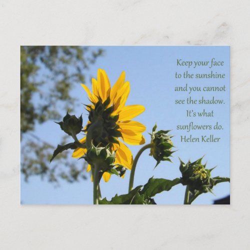 Inspirational Sunflower Postcard