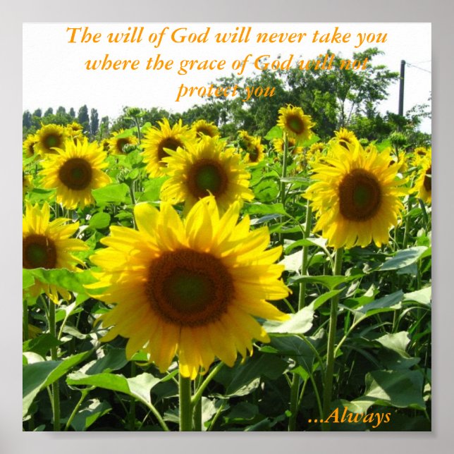 Inspirational Sunflower Poster (Front)