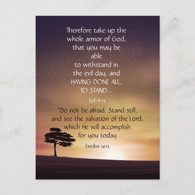 Inspirational Uplisting Motivation Bible Scripture Postcard (Front)