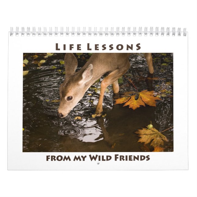 Inspirational Wild Animal Calendar (Cover)