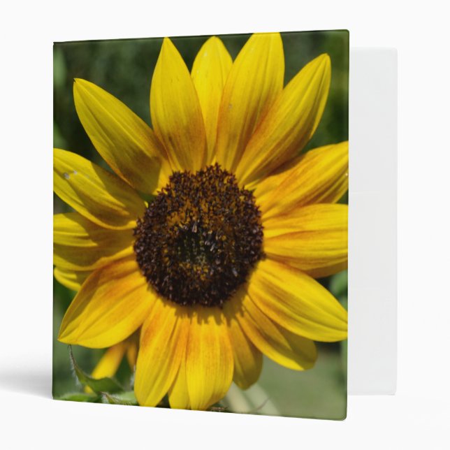 Inspire Joy Sunflower Binder (Front/Inside)