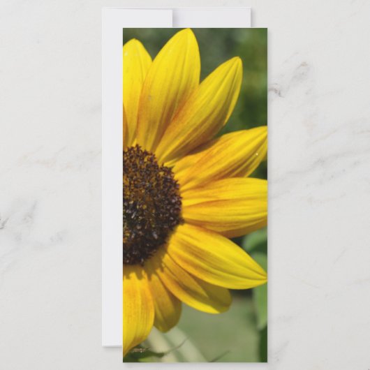 Inspire Joy Sunflower Bookmark (Back)