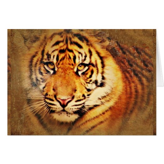 Inspire Me_ (Front Horizontal)