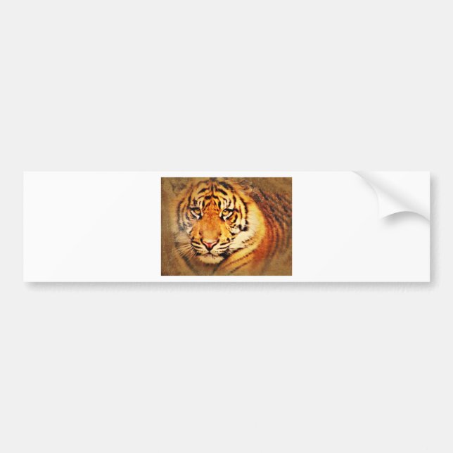 Inspire Me_ Bumper Sticker (Front)
