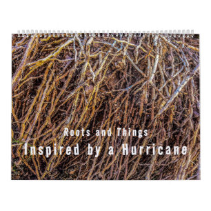 Inspired by a Hurricane Calendar