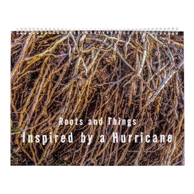 Inspired by a Hurricane Calendar