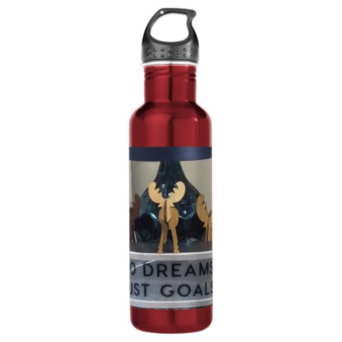 Inspired Goals Reindeer Amazing Dreams  Stainless Steel Water Bottle