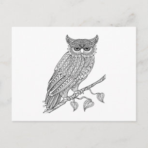 Inspired Magic Owl Sitting On Branch Postcard