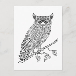 Inspired Magic Owl Sitting On Branch Postcard