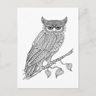 Inspired Magic Owl Sitting On Branch Postcard